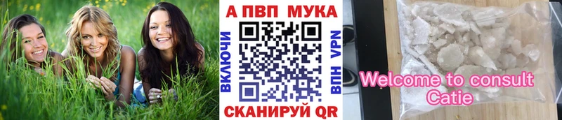Купить закладки  Пенза  Alpha PVP мука 
