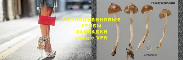 ГАЛЛЮЦИНОГЕННЫЕ ГРИБЫ Алексеевка