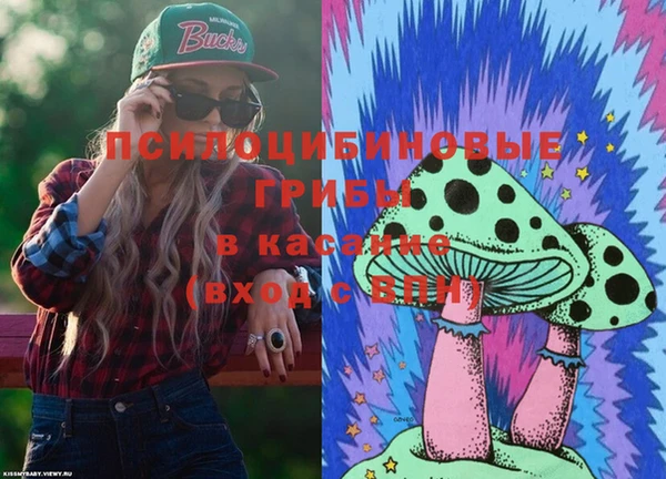 ГАЛЛЮЦИНОГЕННЫЕ ГРИБЫ Алексеевка