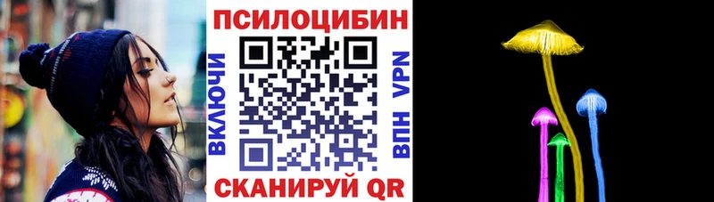 Купить где  Пенза  Псилоцибиновые грибы мицелий 